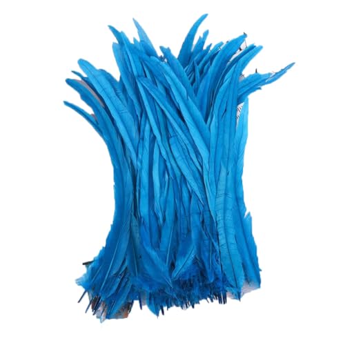 100–1000 Stück 40–45 cm farbige Hahnschwanzfedern, Karnevalszubehör, Hochzeit, Party, Dekoration, DIY, Türkis, 1000 Stück 100–1000 Stück 40–45 cm farbige Hahnschwanzfedern, Karnevalszubehör, Hochzeit, Party, Dekoration, DIY, Türkis, 1000 Stück von Generisch