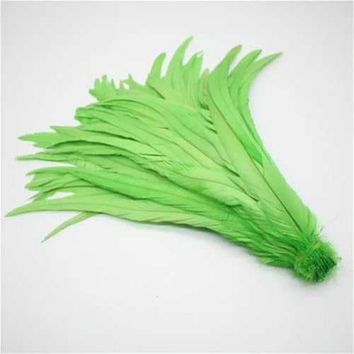 100 Stück/Lot 25–45 cm Hahnfedern zum Basteln, Weihnachten, DIY, natürliche Hühnerschwanzfedern, Dekoration, EN8, 35–40 cm von Generisch