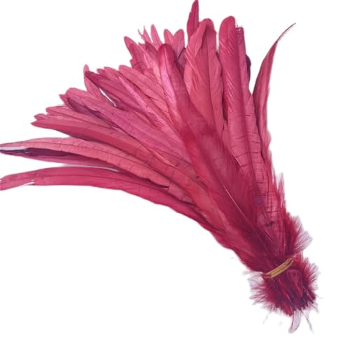 100 Stück/Lot 25–45 cm Hahnfedern zum Basteln, Weihnachten, DIY, natürliche Hühnerschwanzfedern, Dekoration, Weinrot, 40–45 cm von Generisch