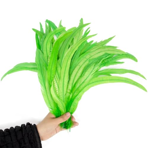 100 Stück/Lot rote Hahnschwanzfedern, Großpackung 25–40 cm, bunte Hühnerfedern für Karnevalskostüme, Dekoration, Obst, EN8, 35–40 cm, 100 Stück 100 Stück/Lot rote Hahnschwanzfedern, Großpackung 25–40 cm, bunte Hühnerfedern für Karnevalskostüme, Dekoration, Obst, EN8, 35–40 cm, 100 Stück von Generisch