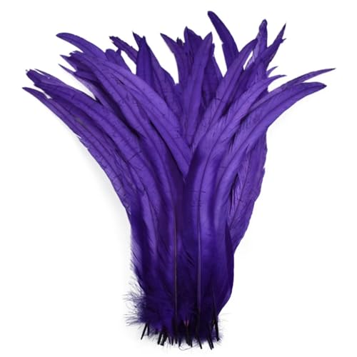 100 Stück 25-40 cm Hahnfedern Hochzeit Handwerk DIY Natürliche Feder Handarbeit Party Karneval Kopfbedeckung Dekoration Lila 35-40 cm 100 Stück 25-40 cm Hahnfedern Hochzeit Handwerk DIY Natürliche Feder Handarbeit Party Karneval Kopfbedeckung Dekoration Lila 35-40 cm von Generisch