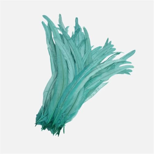 100 Stück 25–45 cm DIY Hahnenfeder Handwerk Nähen Kleidung Dekor Home Party Hochzeit Zubehör Mint EN8-100 Stück 40-45 cm 100 Stück 25–45 cm DIY Hahnenfeder Handwerk Nähen Kleidung Dekor Home Party Hochzeit Zubehör Mint EN8-100 Stück 40-45 cm von Generisch