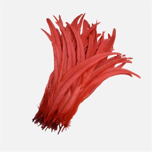 100 Stück 25–45 cm DIY Hahnenfeder Handwerk Nähen Kleidung Dekor Home Party Hochzeit Zubehör Rot - 100 Stück 35-40 cm 100 Stück 25–45 cm DIY Hahnenfeder Handwerk Nähen Kleidung Dekor Home Party Hochzeit Zubehör Rot - 100 Stück 35-40 cm von Generisch