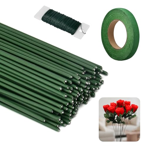 100 Stück Blumendraht, 30cm Lang φ2mm Floristikdraht Grün, Blumendraht zum Basteln, Floristenband und draht, für Handarbeiten, Draht Basteldraht mit 1 Rollen Metalldraht und Floristenband von Generisch