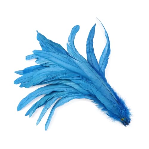 100 Stück blaue Karnevals-Hahnschwanzfedern 25–30 cm 30–35 cm für Bastelarbeiten, Kopfschmuck, Partykleidung, Dekoration, Lake EN8, 25–30 cm, 100 Stück 100 Stück blaue Karnevals-Hahnschwanzfedern 25–30 cm 30–35 cm für Bastelarbeiten, Kopfschmuck, Partykleidung, Dekoration, Lake EN8, 25–30 cm, 100 Stück von Generisch