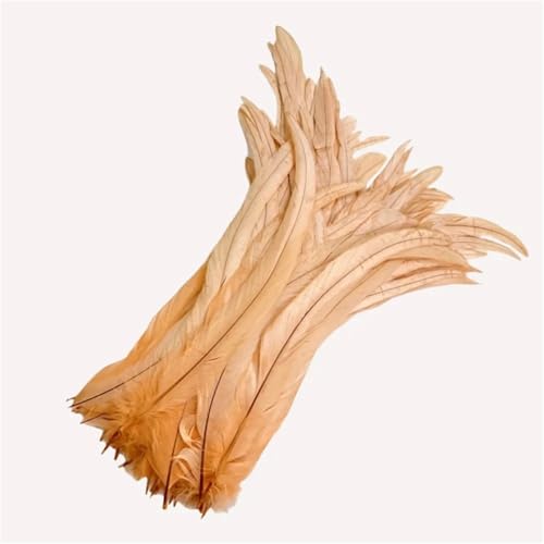 100 Stück farbige Federn mit langem Schwanz, 25–45 cm, schlanke Federn für DIY-Kopfschmuck, Basteln und Schmuckdekoration von Generisch