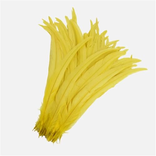 100 Stück farbige Federn mit langem Schwanz, 25–45 cm, schlanke Federn für DIY-Kopfschmuck, Basteln und Schmuckdekoration von Generisch