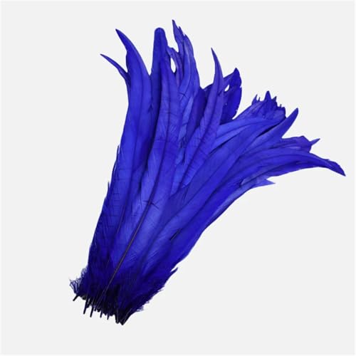 100 Stück farbige Federn mit langem Schwanz, 25–45 cm, schlanke Federn für DIY-Kopfschmuck, Basteln und Schmuckdekoration von Generisch