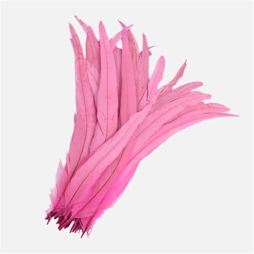 100 Stück farbige Federn mit langem Schwanz, 25–45 cm, schlanke Federn für DIY-Kopfschmuck, Basteln und Schmuckdekoration 100 Stück farbige Federn mit langem Schwanz, 25–45 cm, schlanke Federn für DIY-Kopfschmuck, Basteln und Schmuckdekoration von Generisch