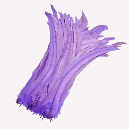 100 Stück farbige Federn mit langem Schwanz, 25–45 cm, schlanke Federn für DIY-Kopfschmuck, Basteln und Schmuckdekoration 100 Stück farbige Federn mit langem Schwanz, 25–45 cm, schlanke Federn für DIY-Kopfschmuck, Basteln und Schmuckdekoration von Generisch