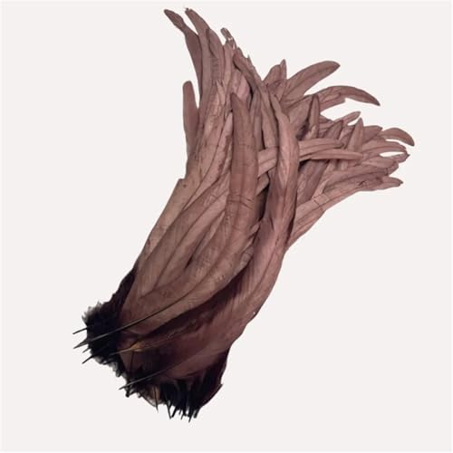 100 Stück farbige Federn mit langem Schwanz, 25–45 cm, schlanke Federn für DIY-Kopfschmuck, Basteln und Schmuckdekoration 100 Stück farbige Federn mit langem Schwanz, 25–45 cm, schlanke Federn für DIY-Kopfschmuck, Basteln und Schmuckdekoration von Generisch