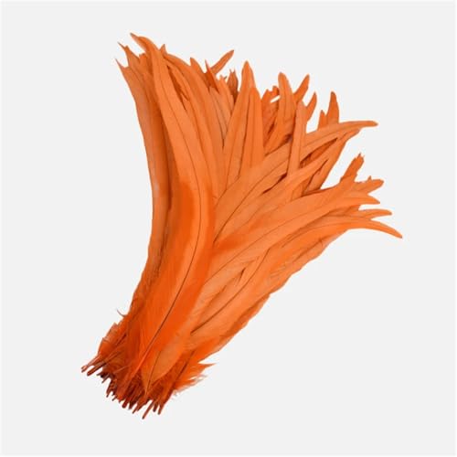 100 Stück farbige Federn mit langem Schwanz, 25–45 cm, schlanke Federn für DIY-Kopfschmuck, Basteln und Schmuckdekoration von Generisch