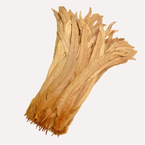 100 Stück farbige Federn mit langem Schwanz, 25–45 cm, schlanke Federn für DIY-Kopfschmuck, Basteln und Schmuckdekoration von Generisch