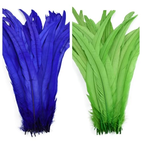 100 Stück farbige Federn mit langem Schwanz, 25–45 cm, schlanke Federn für DIY-Kopfschmuck, Basteln und Schmuckdekoration von Generisch