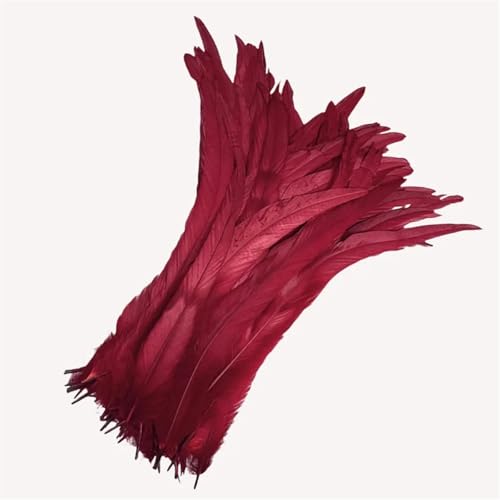 100 Stück farbige Federn mit langem Schwanz, 25–45 cm, schlanke Federn für DIY-Kopfschmuck, Basteln und Schmuckdekoration von Generisch