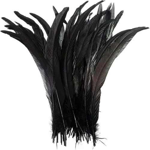 100 Stück farbige Federn mit langem Schwanz, 25–45 cm, schlanke Federn für DIY-Kopfschmuck, Basteln und Schmuckdekoration von Generisch