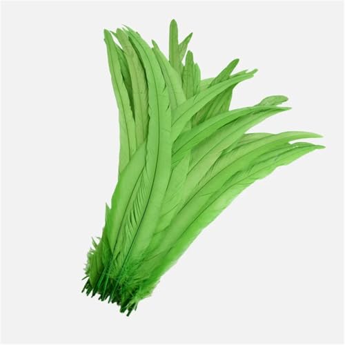100 Stück farbige Federn mit langem Schwanz, 25–45 cm, schlanke Federn für DIY-Kopfschmuck, Basteln und Schmuckdekoration 100 Stück farbige Federn mit langem Schwanz, 25–45 cm, schlanke Federn für DIY-Kopfschmuck, Basteln und Schmuckdekoration von Generisch