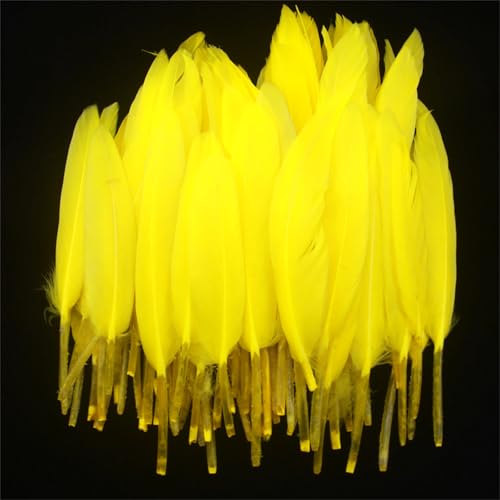100 Stück gefärbte, glatte Flügelfedern, 10–15 cm, in 30 Farben für selbstgemachte Kostüme, Kopfschmuck und Maskenherstellung 100 Stück gefärbte, glatte Flügelfedern, 10–15 cm, in 30 Farben für selbstgemachte Kostüme, Kopfschmuck und Maskenherstellung von Generisch