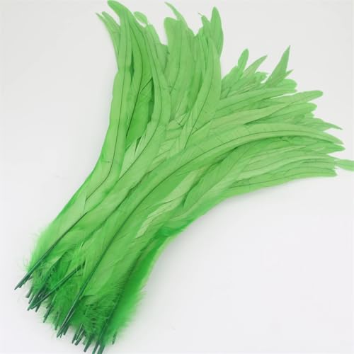 100 Stück natürliche Hahnschwanzfedern, 35–40 cm, für Kostüme, Heimwerken, Basteln, Zuhause, Hochzeit, Dekoration, Obst, EN8, 35–40 cm 100 Stück natürliche Hahnschwanzfedern, 35–40 cm, für Kostüme, Heimwerken, Basteln, Zuhause, Hochzeit, Dekoration, Obst, EN8, 35–40 cm von Generisch
