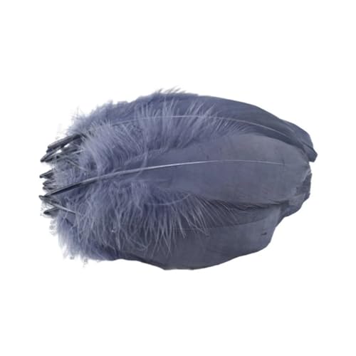 100 Stück natürliche glatte Flügelfedern, 15–20 cm, in 30 Farben für Bastelarbeiten, Schmuckherstellung und Nähakzente 100 Stück natürliche glatte Flügelfedern, 15–20 cm, in 30 Farben für Bastelarbeiten, Schmuckherstellung und Nähakzente von Generisch