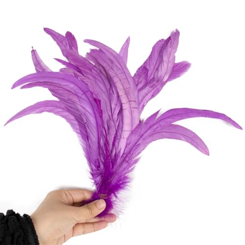 100 Stück rote Hahnschwanzfedern, Großpackung 25–40 cm, bunte Hühnerfedern für Karneval, Kostüme, Dekoration, Dunkelviolett, 35–40 cm, 100 Stück von Generisch
