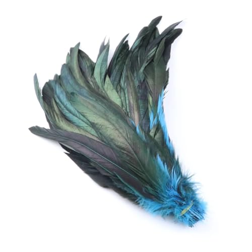 100 Stück rote Hahnschwanzfedern, Großpackung 25–40 cm, bunte Hühnerfedern für Karneval, Kostüme, Dekoration, Schwarz, Seeblau, 35–40 cm, 100 Stück von Generisch