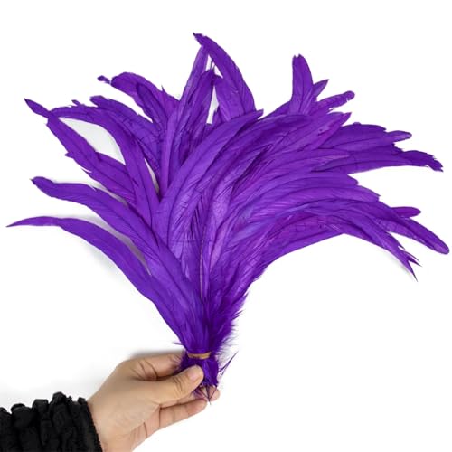100 Stück rote Hahnschwanzfedern, Großpackung 25–40 cm, bunte Hühnerfedern für Karnevalskostüme, Dekoration, Lila, 25–30 cm, 100 Stück 100 Stück rote Hahnschwanzfedern, Großpackung 25–40 cm, bunte Hühnerfedern für Karnevalskostüme, Dekoration, Lila, 25–30 cm, 100 Stück von Generisch