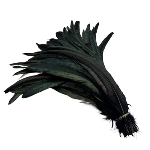 100 stücke Rooster Schwanzfedern Schwärzlich Grün 25-45cm Natürliche Federn Beige DIY Cock Kleidung Schmuck Zubehör Party(Black,40-45cm) von Generisch