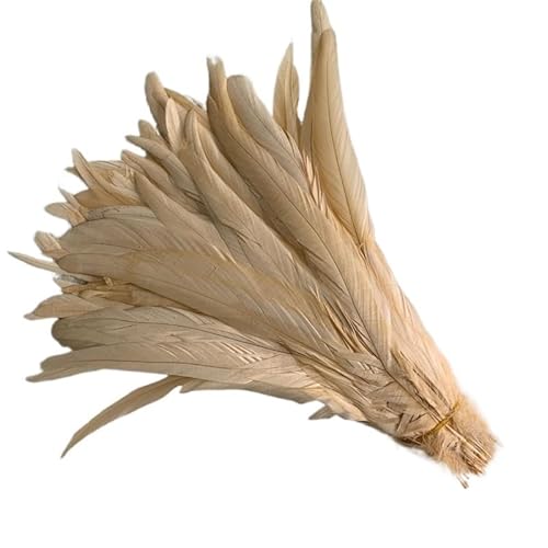100 stücke Rooster Schwanzfedern Schwärzlich Grün 25-45cm Natürliche Federn Beige DIY Cock Kleidung Schmuck Zubehör Party(Champagne,35-40cm) von Generisch