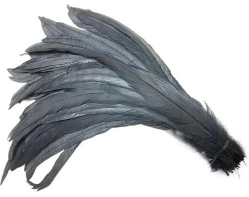 100 stücke Rooster Schwanzfedern Schwärzlich Grün 25-45cm Natürliche Federn Beige DIY Cock Kleidung Schmuck Zubehör Party(Grey,30-35cm) von Generisch