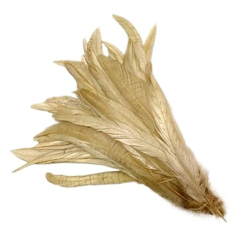 100 stücke Rooster Schwanzfedern Schwärzlich Grün 25-45cm Natürliche Federn Beige DIY Cock Kleidung Schmuck Zubehör Party(Light Golden,40-45cm) von Generisch