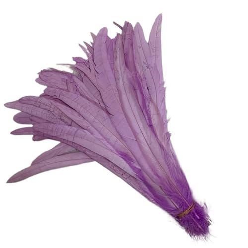 100 stücke Rooster Schwanzfedern Schwärzlich Grün 25-45cm Natürliche Federn Beige DIY Cock Kleidung Schmuck Zubehör Party(Light Purple,35-40cm) von Generisch