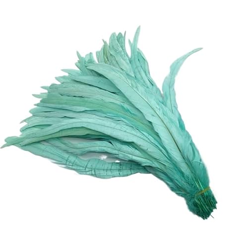 100 stücke Rooster Schwanzfedern Schwärzlich Grün 25-45cm Natürliche Federn Beige DIY Cock Kleidung Schmuck Zubehör Party(Mint Green,40-45cm) von Generisch