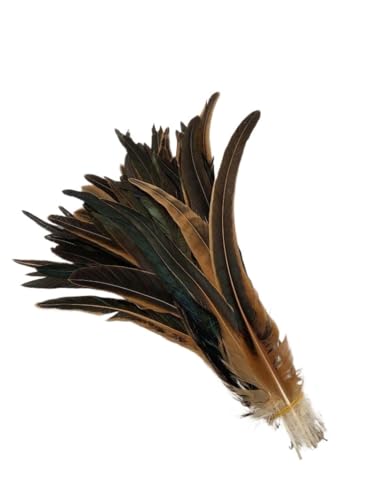 100 stücke Rooster Schwanzfedern Schwärzlich Grün 25-45cm Natürliche Federn Beige DIY Cock Kleidung Schmuck Zubehör Party(Natural Brown,40-45cm) von Generisch