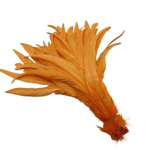 100 stücke Rooster Schwanzfedern Schwärzlich Grün 25-45cm Natürliche Federn Beige DIY Cock Kleidung Schmuck Zubehör Party(Orange,40-45cm) von Generisch