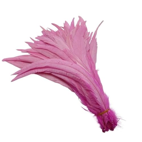100 stücke Rooster Schwanzfedern Schwärzlich Grün 25-45cm Natürliche Federn Beige DIY Cock Kleidung Schmuck Zubehör Party(Pink,40-45cm) von Generisch