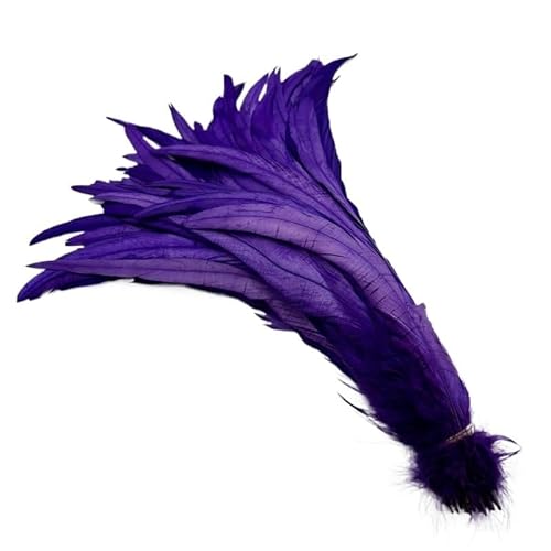 100 stücke Rooster Schwanzfedern Schwärzlich Grün 25-45cm Natürliche Federn Beige DIY Cock Kleidung Schmuck Zubehör Party(Purple,40-45cm) von Generisch