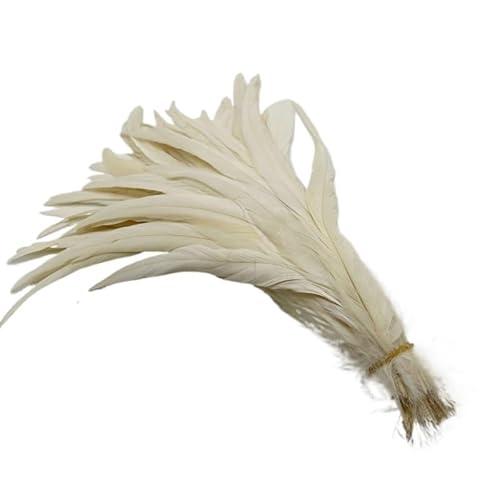 100 stücke Rooster Schwanzfedern Schwärzlich Grün 25-45cm Natürliche Federn Beige DIY Cock Kleidung Schmuck Zubehör Party(Raw White,40-45cm) von Generisch