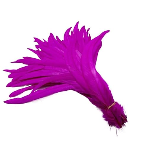 100 stücke Rooster Schwanzfedern Schwärzlich Grün 25-45cm Natürliche Federn Beige DIY Cock Kleidung Schmuck Zubehör Party(Rose red,40-45cm) von Generisch