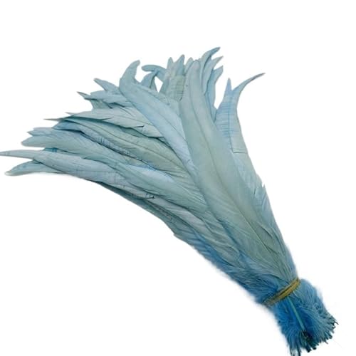 100 stücke Rooster Schwanzfedern Schwärzlich Grün 25-45cm Natürliche Federn Beige DIY Cock Kleidung Schmuck Zubehör Party(Sky Blue,35-40cm) von Generisch