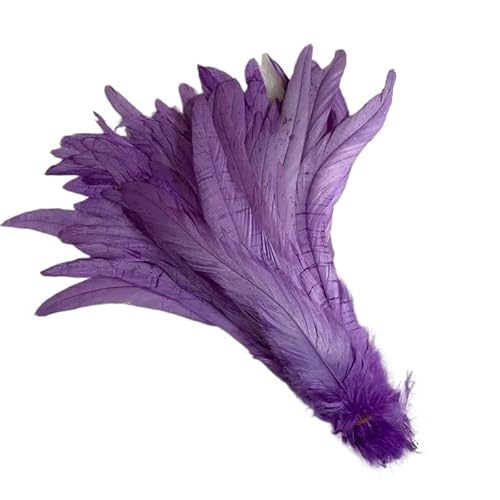 100 stücke Rooster Schwanzfedern Schwärzlich Grün 25-45cm Natürliche Federn Beige DIY Cock Kleidung Schmuck Zubehör Party(Violet,40-45cm) von Generisch