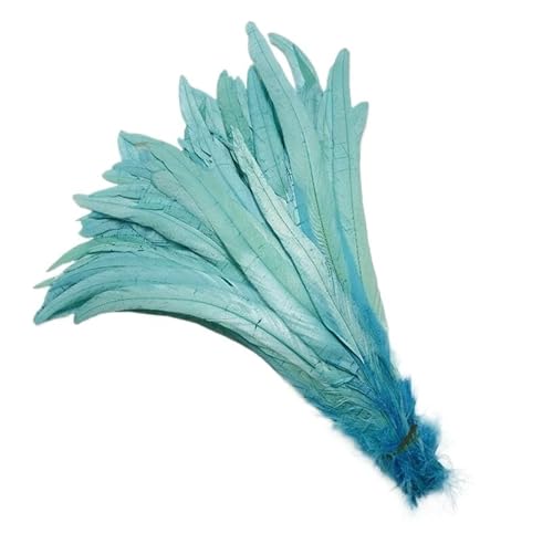 100 stücke Rooster Schwanzfedern Schwärzlich Grün 25-45cm Natürliche Federn Beige DIY Cock Kleidung Schmuck Zubehör Party(Water Blue,40-45cm) von Generisch