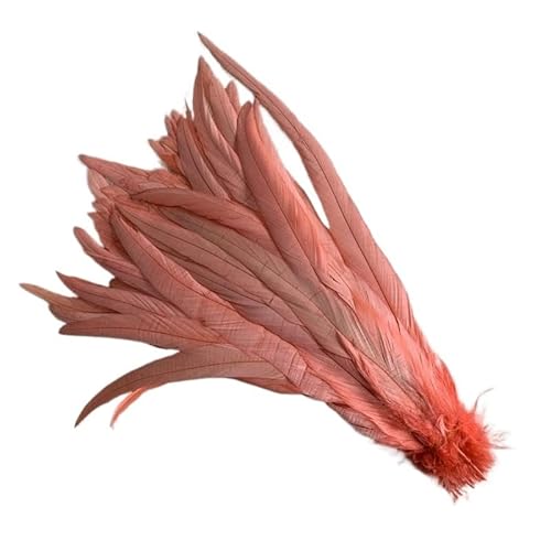 100 stücke Rooster Schwanzfedern Schwärzlich Grün 25-45cm Natürliche Federn Beige DIY Cock Kleidung Schmuck Zubehör Party(Watermelon red,40-45cm) von Generisch