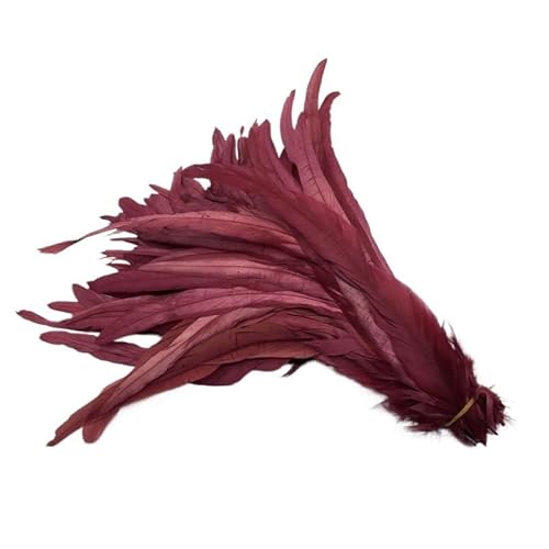 100 stücke Rooster Schwanzfedern Schwärzlich Grün 25-45cm Natürliche Federn Beige DIY Cock Kleidung Schmuck Zubehör Party(Wine red,30-35cm) von Generisch
