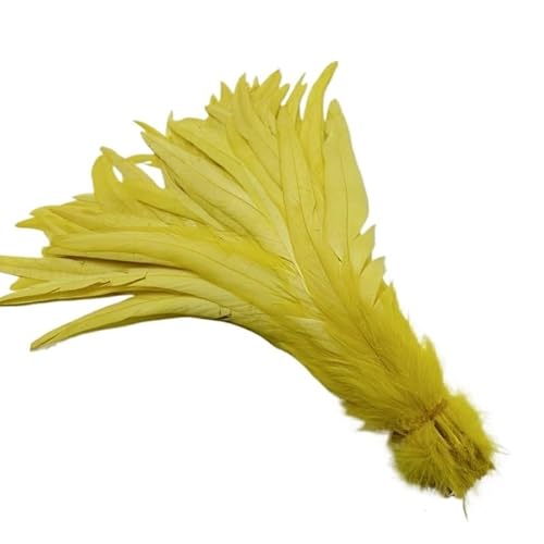 100 stücke Rooster Schwanzfedern Schwärzlich Grün 25-45cm Natürliche Federn Beige DIY Cock Kleidung Schmuck Zubehör Party(Yellow,30-35cm) von Generisch