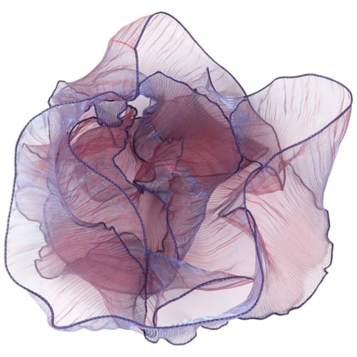 11 Yards Geraffte Spitzenborte für Hochzeitskleider, DIY-Projekte und Handwerk, Polyester-Tüll mit plissierter Organza-Bordüre 11 Yards Geraffte Spitzenborte für Hochzeitskleider, DIY-Projekte und Handwerk, Polyester-Tüll mit plissierter Organza-Bordüre von Generisch