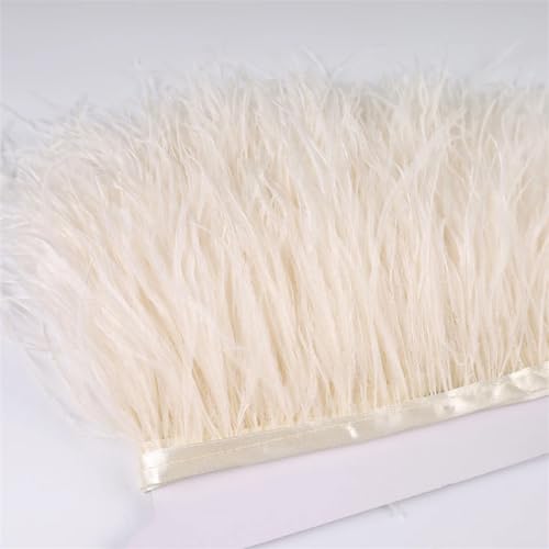 13–18 cm, 6 m Federbesatz, Stoffgürtel zum Nähen, Basteln, Federband, Fransen, Hochzeitskleid, Dekoration, Creme, 10 m 13–18 cm, 6 m Federbesatz, Stoffgürtel zum Nähen, Basteln, Federband, Fransen, Hochzeitskleid, Dekoration, Creme, 10 m von Generisch
