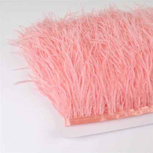 13–18 cm, 6 m Federbesatz, Stoffgürtel zum Nähen, Basteln, Federband, Fransen, Hochzeitskleid, Dekoration, Flamingo, pnnrk, 2 m 13–18 cm, 6 m Federbesatz, Stoffgürtel zum Nähen, Basteln, Federband, Fransen, Hochzeitskleid, Dekoration, Flamingo, pnnrk, 2 m von Generisch