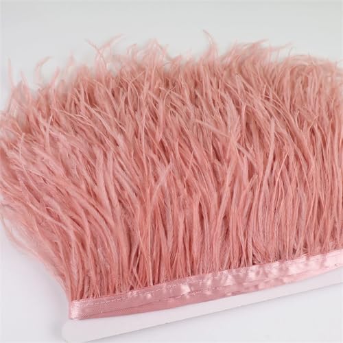 13–18 cm, 6 m Federbesatz, Stoffgürtel zum Nähen, Basteln, Federband, Fransen, Hochzeitskleid, Dekoration, dunkler Flamingo, 6 m 13–18 cm, 6 m Federbesatz, Stoffgürtel zum Nähen, Basteln, Federband, Fransen, Hochzeitskleid, Dekoration, dunkler Flamingo, 6 m von Generisch