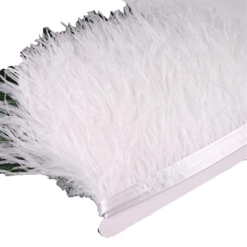 13–18 cm, 6 m Federbesatz, Stoffgürtel zum Nähen, Basteln, Federband, Fransen, Hochzeitskleid, Dekoration, einfarbig, weiß, 2 m 13–18 cm, 6 m Federbesatz, Stoffgürtel zum Nähen, Basteln, Federband, Fransen, Hochzeitskleid, Dekoration, einfarbig, weiß, 2 m von Generisch